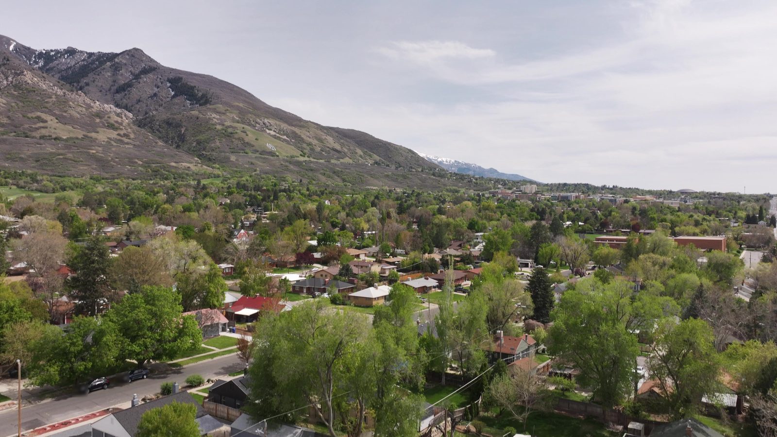 Wide drone view of Utah homes and tree-lined streets below the Wasatch foothills