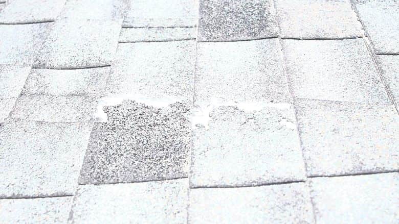 Asphalt shingles losing granules, the wear a hail inspection looks for.