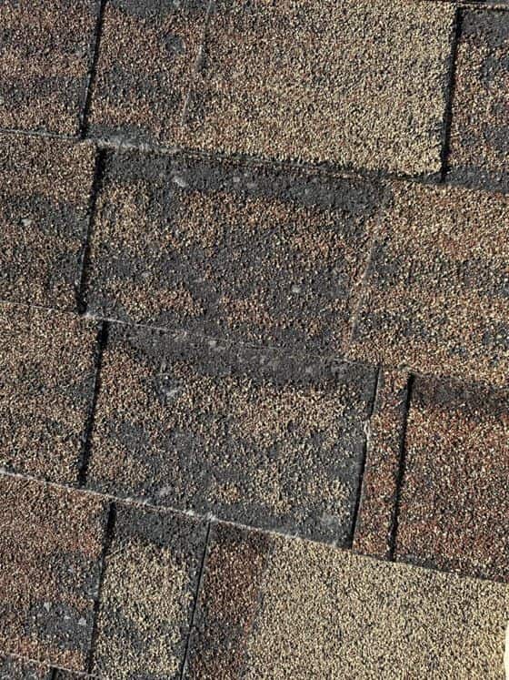 Asphalt shingles with granules missing along the edges.